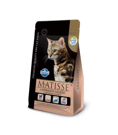 matisse castrados salmon gatos esterilizados