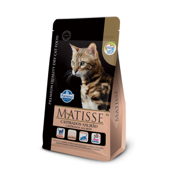 MATISSE CASTRADOS SALMAO - 2 KG