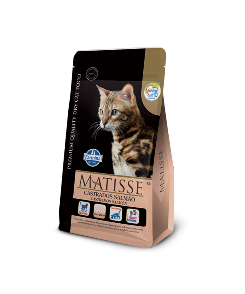 matisse castrados salmon gatos esterilizados