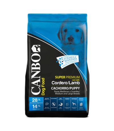 CANBO DOG CON CORDERO