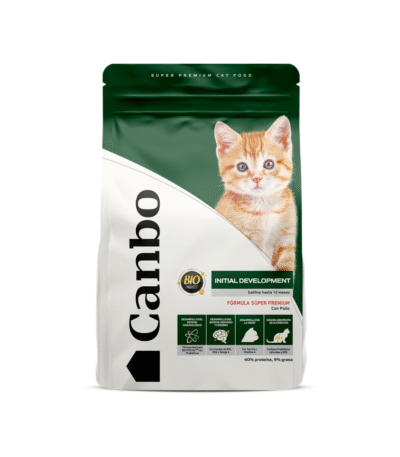 CANBO CAT INITIAL DEVELOPMENT CACH