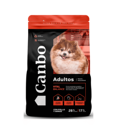 canbo adultos razas pequeñas pollo