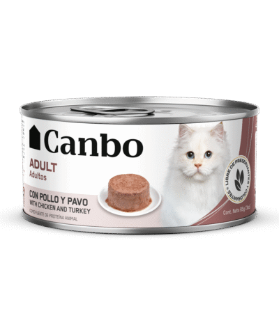 alimento gatos adultos canbo pate