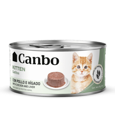 alimento gatos cachorros canbo pate