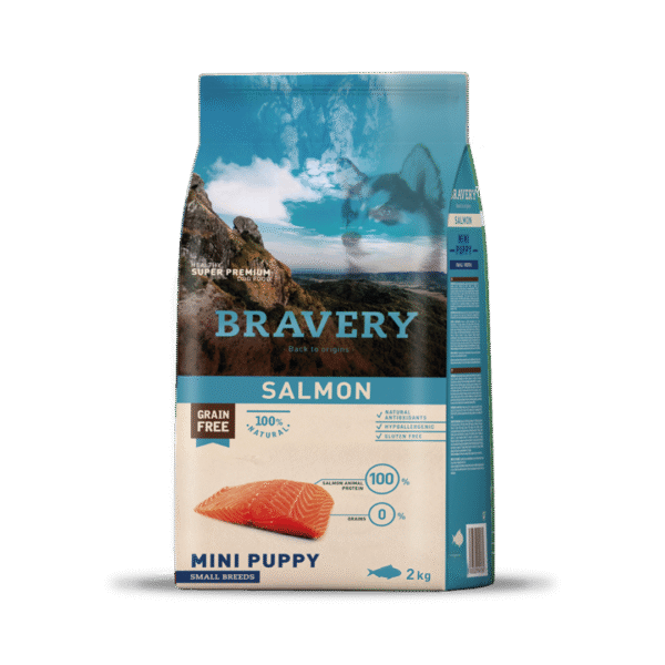 salmon mini puppy small breeds