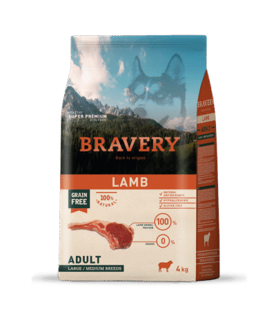 lamb adult large medium breed