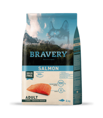 salmon adult large medium breed