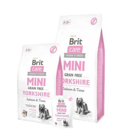 brit care mini yorkshire