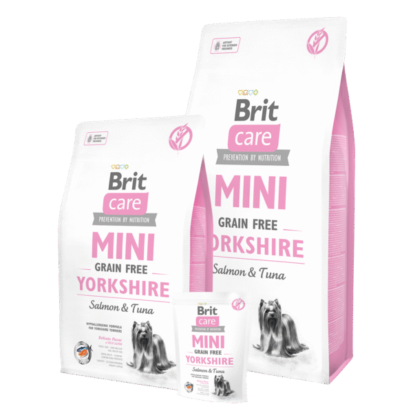 brit care mini yorkshire