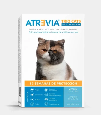 Atrevia Trio Cats Medium