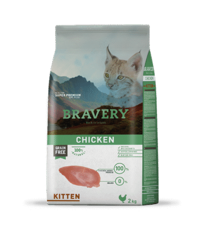 alimento para gato cachorro