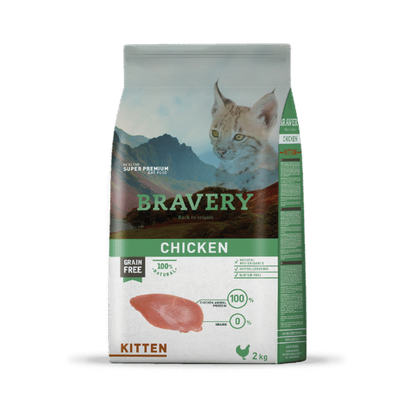 alimento para gato cachorro