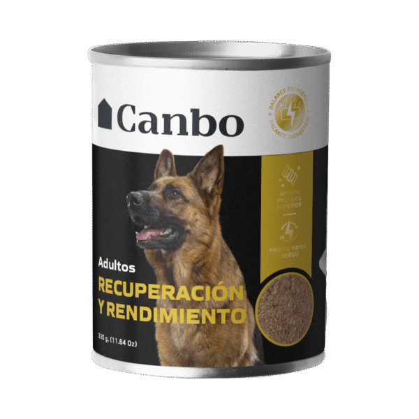 Alimento Perros Adultos Canbo Rendimiento Pate 330gr