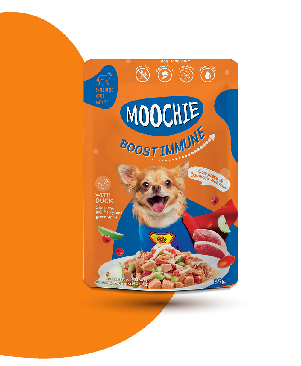 product_img_bg1_202110122071018