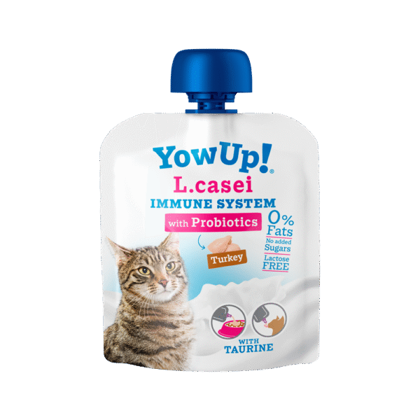 YOW UP	LCASEI - 85 GR