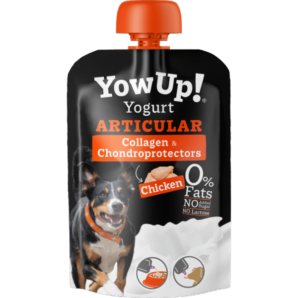 YOW UP	ARTICULAR - 115 GR